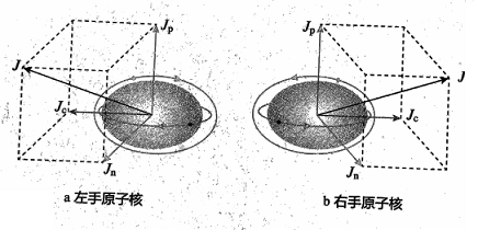 坐标系手性.png