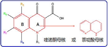 无标题.png