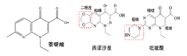 第三、四代.png