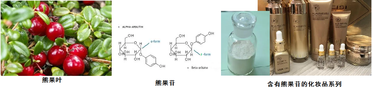 熊果苷.png