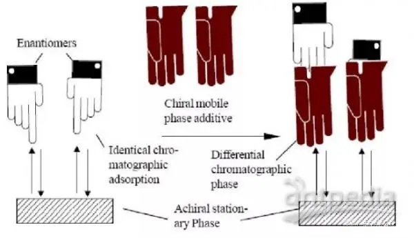手性识别机制.png