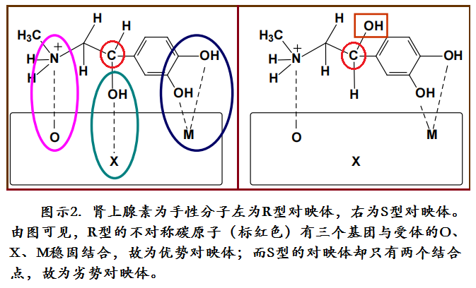 肾上腺素例.png