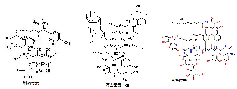 大环抗生素.png