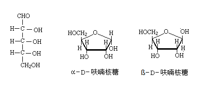 核糖.png