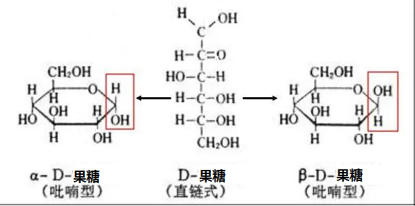 葡萄糖直环式.png
