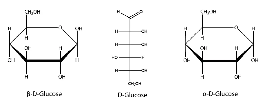 葡萄糖.png